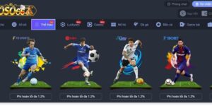 Cá độ bóng đá là gì?