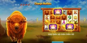 Các loại Jackpot trong slot game